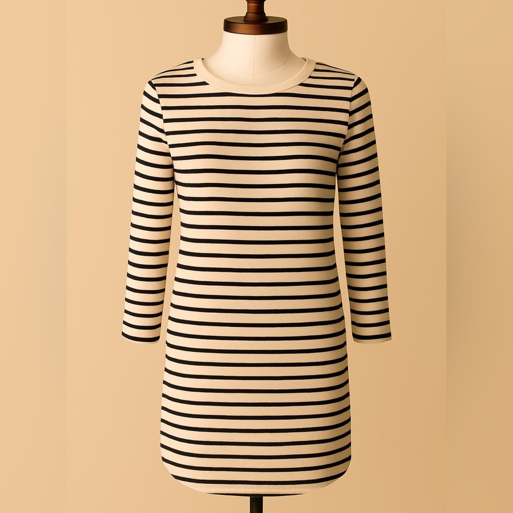 Madewell Striped Dress with Elbow Patches